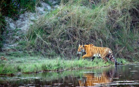 Nepal - rzut oka na Himalaje (23).jpg